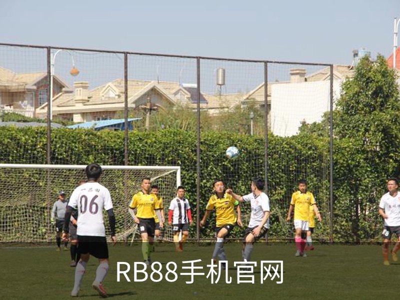 RB88手机官网简介